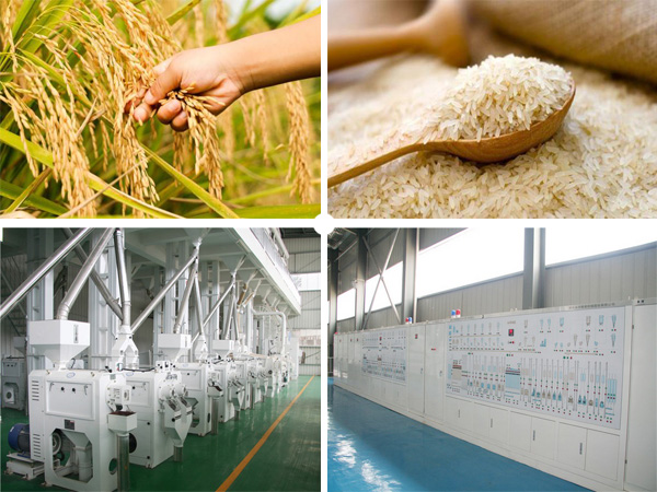 Modern Rice Processing