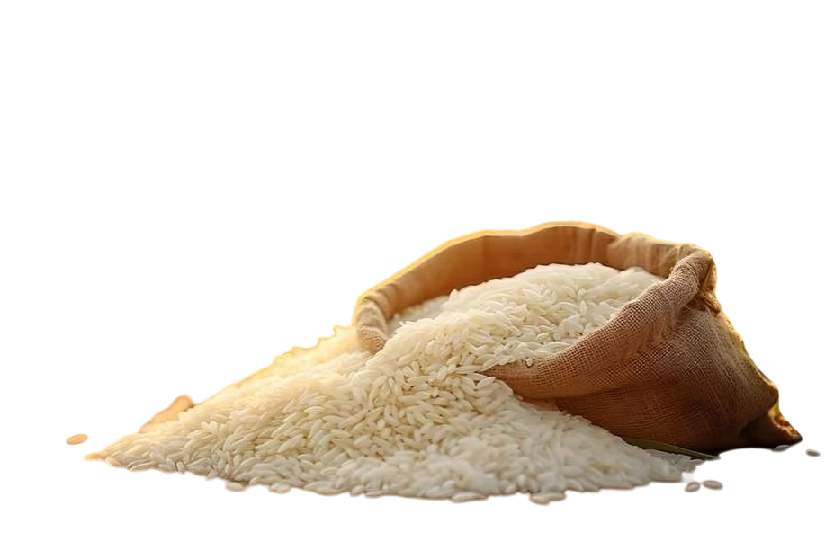 Whiteness Testing