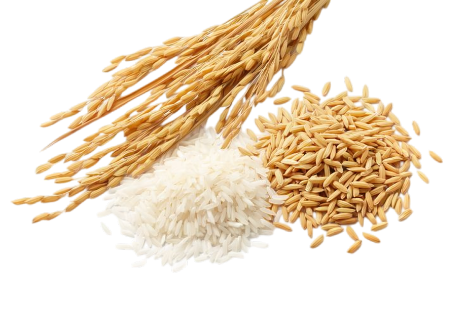 Moisture Content Analysis