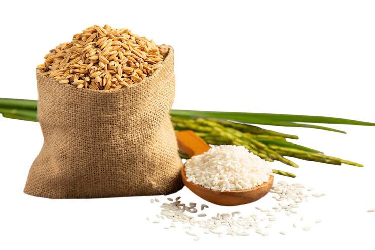 Rice Field